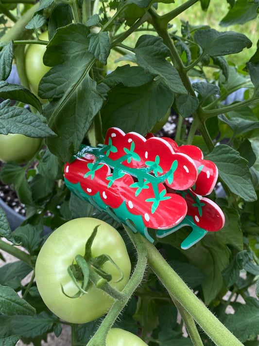 That’s Amore Hair Clips