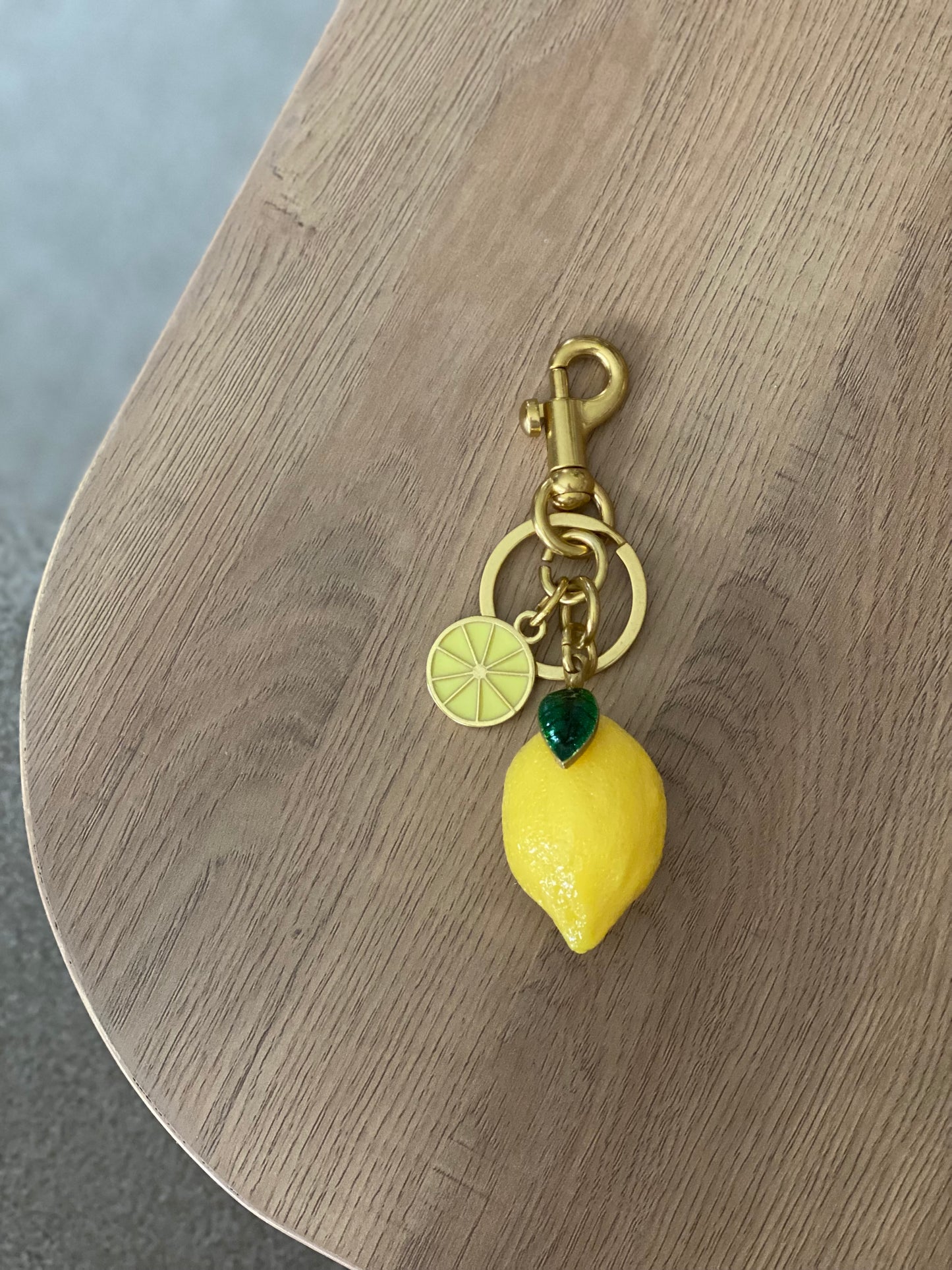 Keychain / Bag Charm