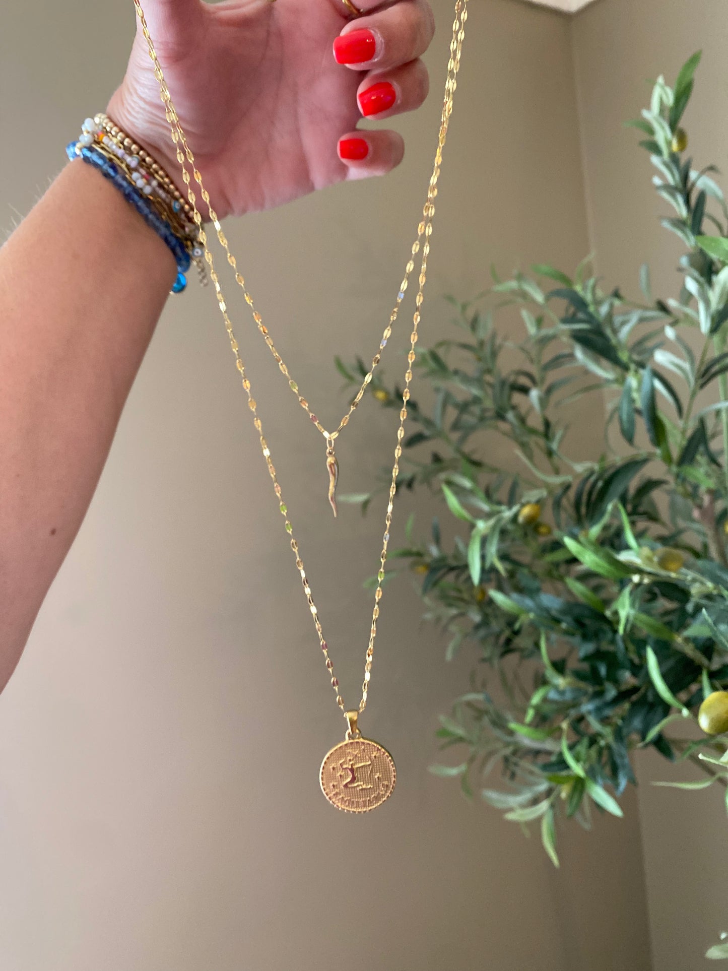 Horoscope Necklaces