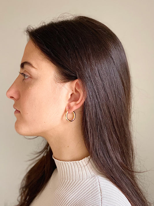 Holly Hoops